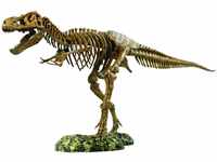 EDU-TOYS Tyrannosaurus Rex Skelett