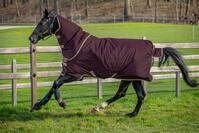 Horseware Amigo Hero Ripstop Plus Lite 0g - Fig/Navy & Tan | Farbe: navy ,...