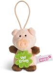 NICI 44864 Anh&auml;nger Schwein mit Spruch Viel Erfolg 8cm mit Loop, rosa/braun