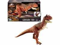 Jurassic World HBY86 - Riesendino Carnotaurus Toro-Dinosaurier-Actionfigur,