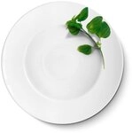 CreaTable - EUROPA KR&Auml;UTER - Pastateller BASILIKUM 27 cm aus Porzellan