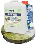 AGO Quart 1000 Gr&uuml;nbelagentferner 5 Liter - chlor- und s&auml;urefrei / 1000 qm Algen