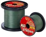 WFT KG Strong Exact geflochtene Schnur 480m 0,22mm 32kg, Farbe:Gr&uuml;n