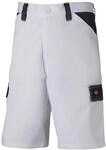 Dickies Shorts Everyday, wei&szlig;/grau, Gr. 62 (UK 46)