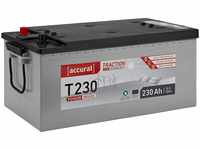 Accurat Traction T230 AGM Batterie - 12V, 230Ah, zyklenfest, bis 30% mehr...