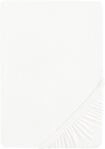 biberna Feinbiber Spannbetttuch 140x200-160x200 cm beige | 100% Baumwolle...