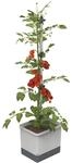 GUSTA GARDEN Tom Tomato Tomatentopf Hellgrau - Pflanzentopf mit Rankhilfe,
