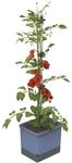GUSTA GARDEN Tom Tomato Tomatentopf Blau - Pflanzentopf mit Rankhilfe,