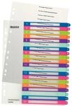 Leitz Register f&uuml;r A4, PC-beschriftbares Deckblatt und 20 Trennbl&auml;tter, Taben mit