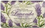 Nesti Dante Lavenda Officinale regenerating (Seife 150 g, Unisex, f&uuml;r alle Hauttypen