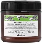 Davines Naturaltech Renewing Conditioning Treatment 250 ml - Conditioner