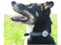 Sure Petcare Animo - Verhaltens- & Aktivitätsmonitor für Hunde