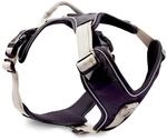 Wolters Geschirr Active Pro, Gr&ouml;&szlig;e:80-95 cm, Farbe:Champagner/schwarz