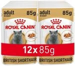 Royal Canin British Shorthair Adult | 12 x 85 g | Alleinfuttermittel f&uuml;r Katzen 