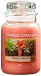 Yankee Candle The Last Paradise Duftkerze, Glas, Peach, 623g, 623