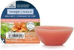 Yankee Candle Wachs/Wax Melt 5901630633, Duft The Last Paradise (Dschungelblatt,