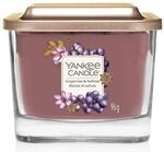 Yankee Candle kleine Duftkerze mit 1 Docht | Grapevine & Saffron | Brenndauer bis zu