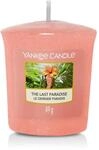 Yankee Candle The Last Paradise Votivkerze