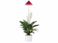 Parus by Venso SUNLiTE 7W LED Vollspektrum Pflanzenlampe Rot, Indoor Plants...