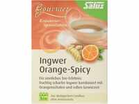 Salus Gourmet Ingwer Orange Spicy Tee, 15 St.