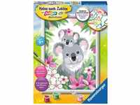 Ravensburger Malen nach Zahlen 28984 - Süße Koalas - Kreativset für Kinder ab 9