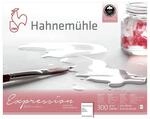 Hahnemuhle Expression Watercolor Block Cold Pressed 24X30 cm 20 sheets