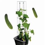 bellissa &ndash; Gurken-Rankhilfe aus Stahl einzeln 120cm verzinkt &ndash; Gurkenturm