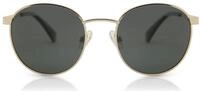Polaroid Unisex Pld 2053/S Sonnenbrille, Gold Grey, 51 EU