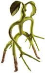 The Noble Collection Bendy Bowtruckle