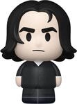 Funko Pop! Diorama: Harry Potter Anniversary - Mirror Scene - Professor Snape -