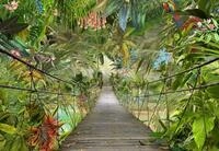 Komar Fototapete WILD Bridge, Tapete, Wanddekoration, Regenwald, Dschungel,...