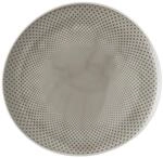 Rosenthal Junto Pearl Grey Speiseteller 27 cm