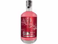 Rammstein Pink Gin 0,7 Liter Limited Edition