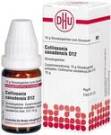 COLLINSONIA CANADENS D12, 10 g, 10 g