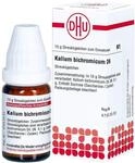 DHU Kalium bichromicum D6 Streuk&uuml;gelchen, 10 g Globuli