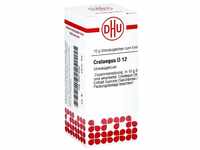 DHU Crataegus D12 Streukügelchen, 10 g Globuli