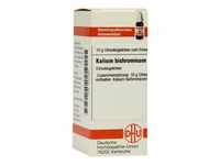 DHU Kalium bichromicum D200 Streukügelchen, 10 g Globuli