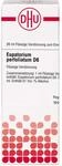 EUPATORIUM PERFOLIATUM D 6 Dilution 20 ml