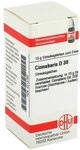 DHU Cinnabaris D30 Streuk&uuml;gelchen, 10 g Globuli
