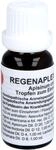 Regenaplex Nr.36 a fl&uuml;ssige Verd&uuml;nnung, 15 ml L&ouml;sung