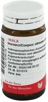 HORNERZ/Corpus vitreum comp.Globuli 20 g