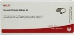 ISCUCIN mali St&auml;rke G Ampullen 10X1 ml