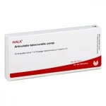 ARTICULATIO talocruralis comp.Ampullen 10X1 ml