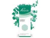 Pascoe® Ledum Similiaplex: Homöopathisches Komplexmittel – 50 ml –