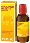 Solidago Hevert Complex bei Blasen- und Harnwegsentz&uuml;ndungen, 100 ml L&ouml;sung