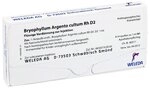 Bryophyllum Argento Cultum Rh D 2 Ampullen
