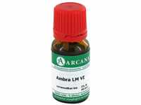 Ambra LM 06 Dilution