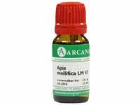 APIS MELLIFICA LM 6 Dilution 10 ml
