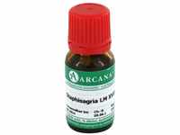 Staphisagria LM 18 Dilution