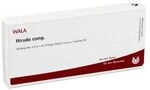 HIRUDO COMP.Ampullen 10X1 ml